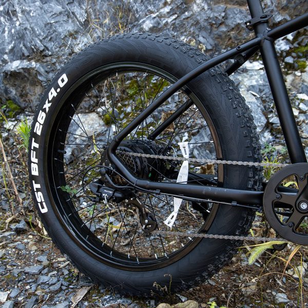1000W Fat Tire Electric Bike 26" for Adults – UL Certified - Image 8
