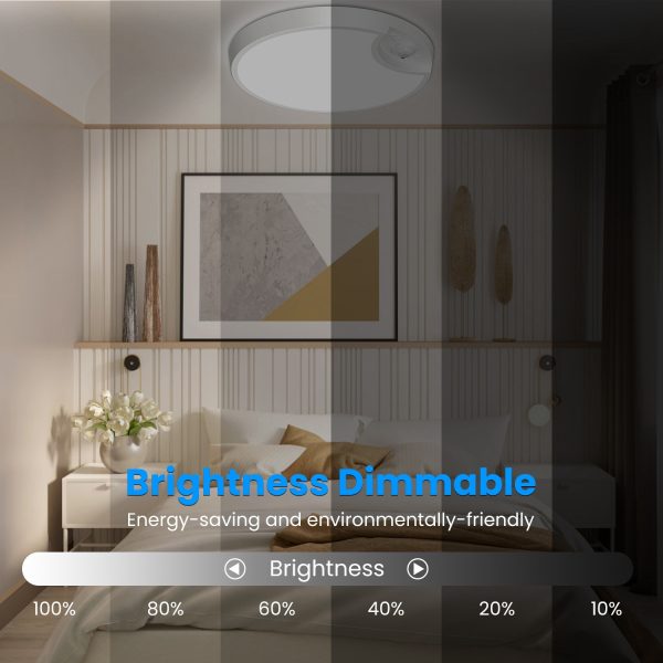 Rechargeable Motion-Sensor Ceiling Light — 3 Colors, Dimmable, Remote + Timers, 8000 mAh - Image 6