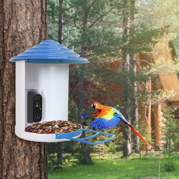 Smart Bird Feeder w/ Solar Camera — 1080P HD, PIR Motion, AI ID (11,000+ species), Night Vision, App Control - Image 7
