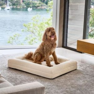 Rectangular Dog Sofa Bed — Thick, Comfy Mattress in 4 Sizes