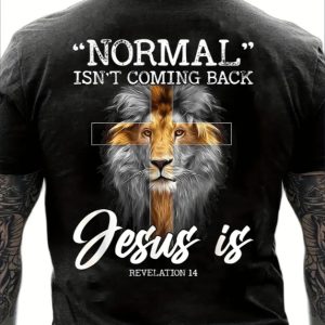 Print T-Shirt, Men's T-Shirt, Summer, Spring, Fall Casual Short Sleeve T-Shirt, Top As A Gift